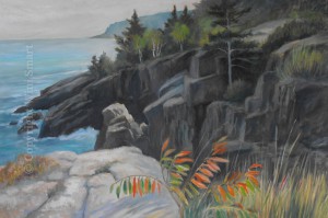 Acadia Cliffs by Wini Smart